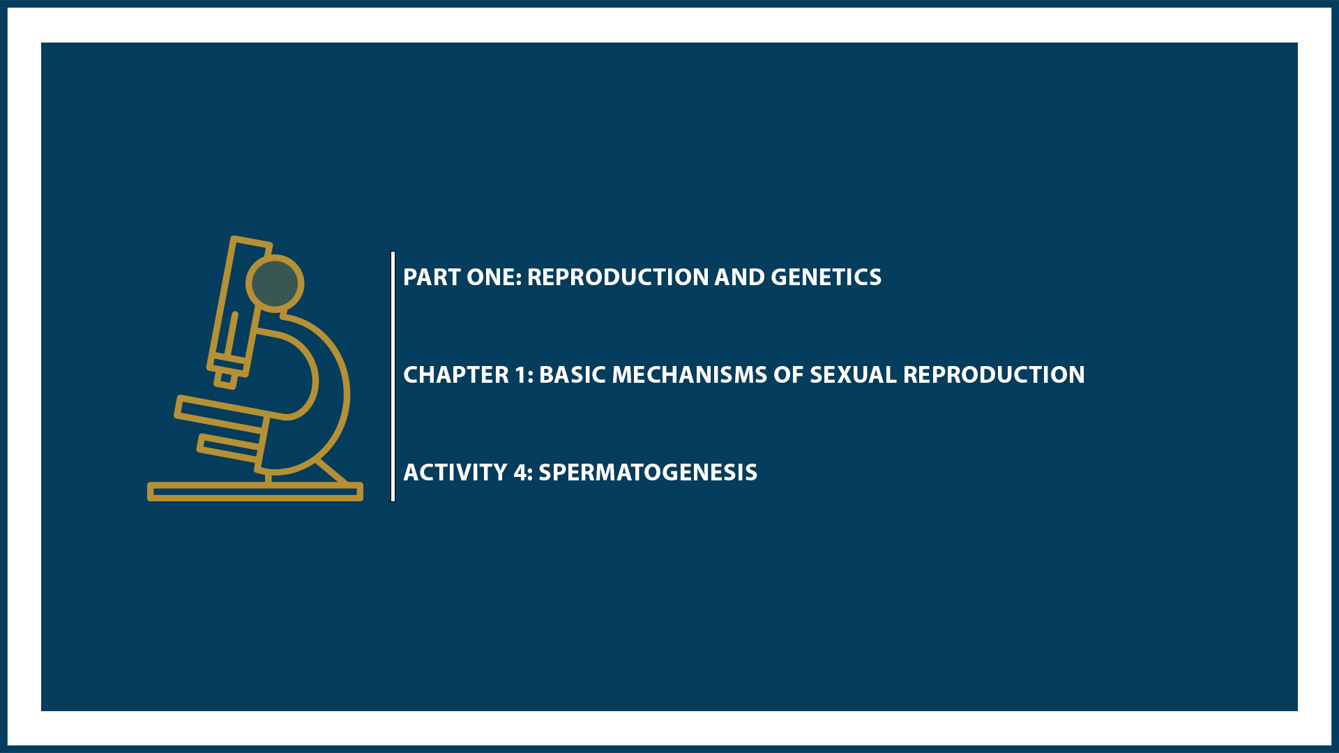 Unit One: Chapter 1 - Document 4: Spermatogenesis
